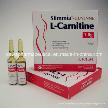 500mg / 5ml Injectable pour Body Slimming L Injection de Carnitine